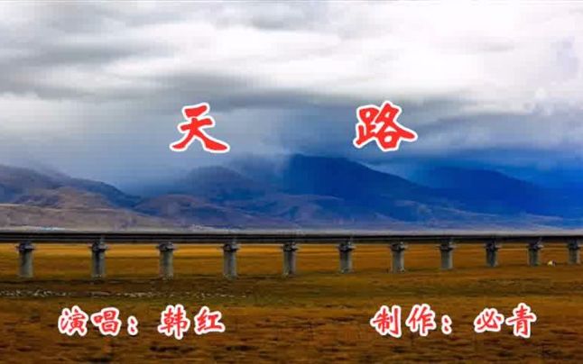 山东_标签_网易出品(图1)